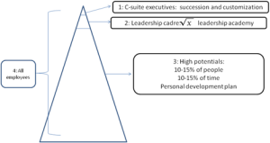 Ulrich_Figure 1- Overview of talent pyramid and choices